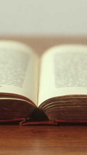 泛目录收录截图1