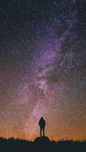 便宜的蜘蛛池怎么用截图3