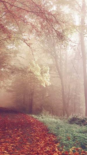 毕节网站建设截图3