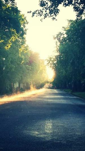 蜘蛛池靠谱吗截图3