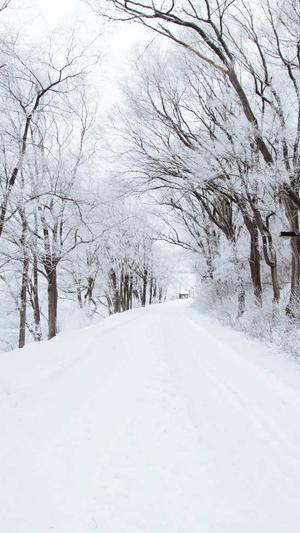 蜘蛛池的寄生虫多吗截图2
