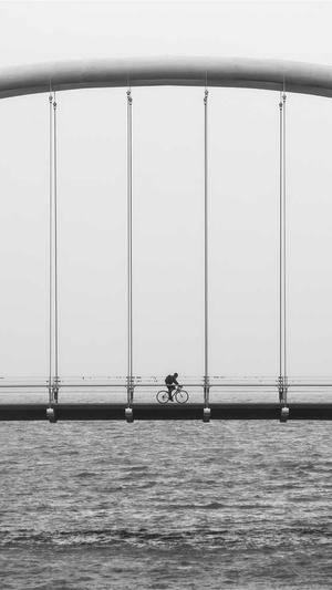 聚合泛目录3.0站群截图1