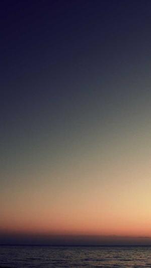 新疆网站建设截图2