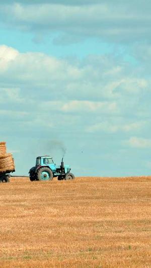 成都网站开发建设公司截图2