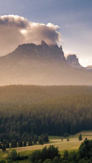 毕节网站建设截图4