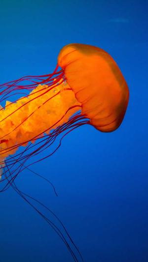 seo推广费用推广工具截图2