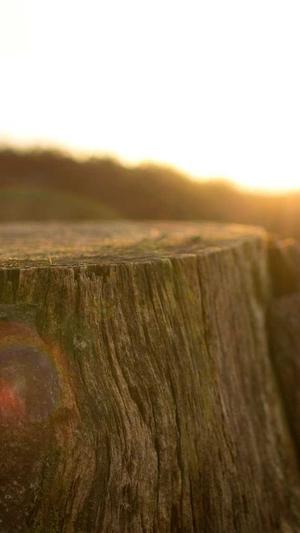 站群泛目录破解版截图4