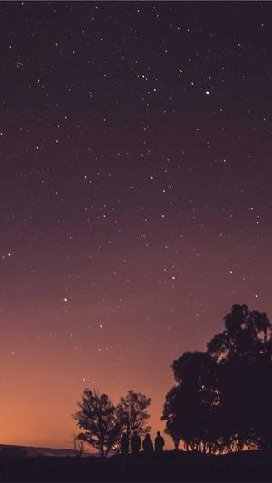 阿里蜘蛛池外推截图3