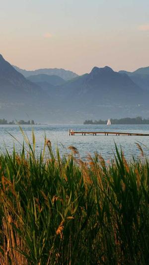 现在什么蜘蛛池好截图1