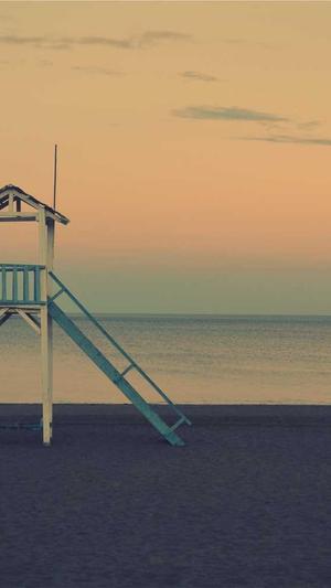 好的蜘蛛池有哪些作用截图2