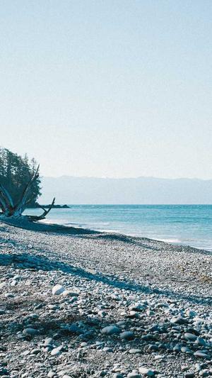 网站建设哪家网站建设好截图1