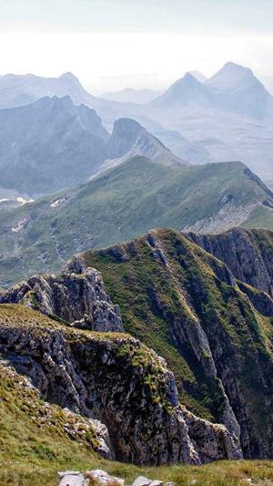 上海营销型网站建设截图3