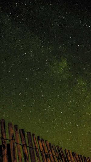 天道蜘蛛池4.2源码截图5