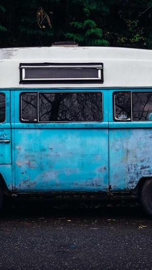 蜘蛛池哪家好用截图3