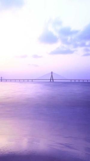 重庆好的seo平台截图3