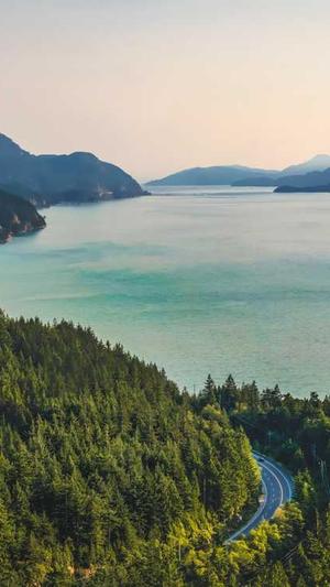 泛目录最新收录程序截图5