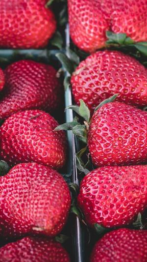 seo推广费用推广工具截图3