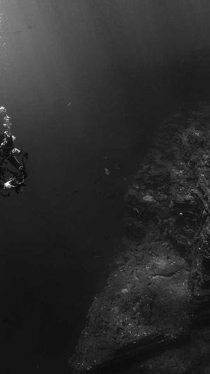 重庆seo网站公司截图2