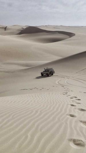 潍坊网站建设seo截图3