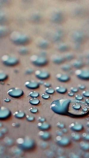 机票网站建设截图3