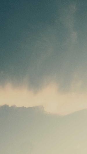 阿里蜘蛛池 程序截图2