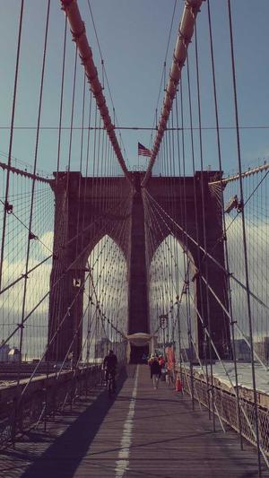 蜘蛛池都是租域名吗截图1