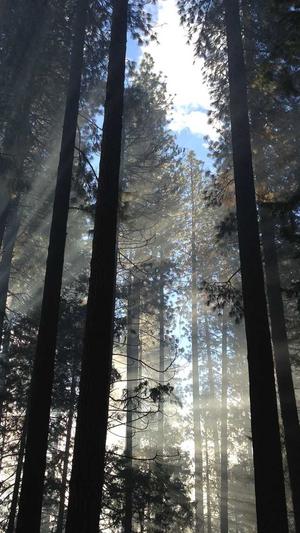 seo站长工具 论坛截图3