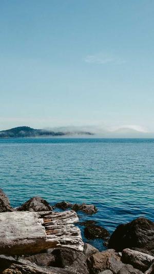 seo方法及工具截图1