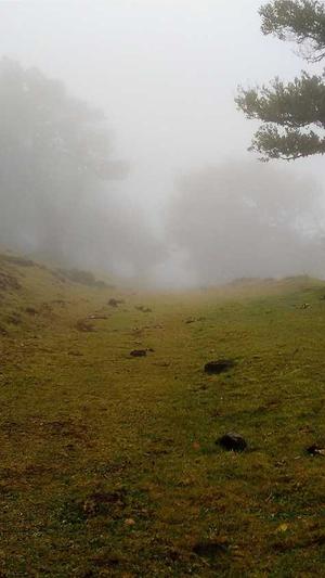 蜘蛛池搭建图解教程图截图1