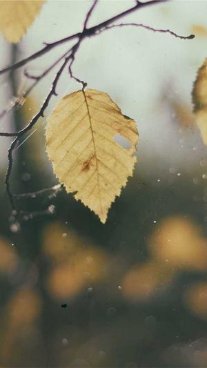 网站建设郑州截图5